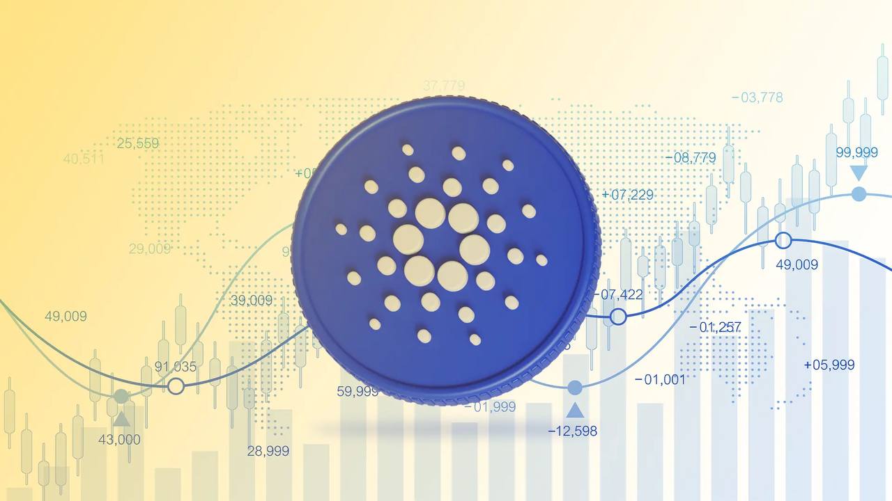 Cardano Whales Accumulate 30M ADA in 24 Hours