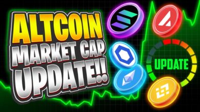 Altcoin Market Cap Rebounds at Key Support Zone