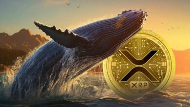 XRP Whales Scoop Up 1 Billion Tokens in 48 Hours