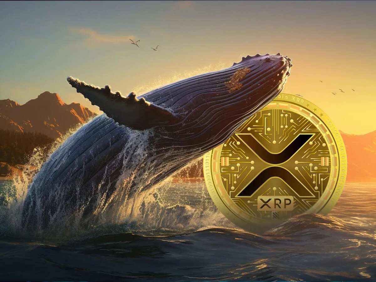 XRP Whales Scoop Up 1 Billion Tokens in 48 Hours