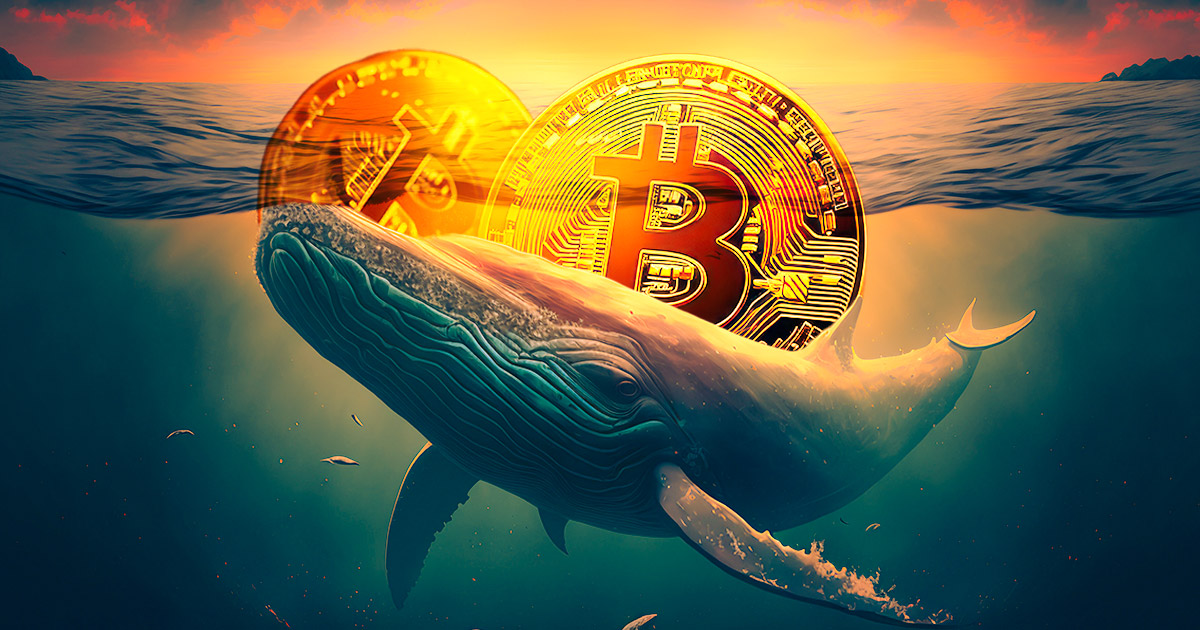 Whales Scoop Up 22,000 Bitcoin Worth $2.24B in 72 Hours