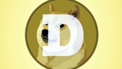 Musk’s DOGE-Inspired Government Website Goes Live