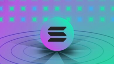 $SOL Becomes the Top Choice on Coinbase with 161K Buyers