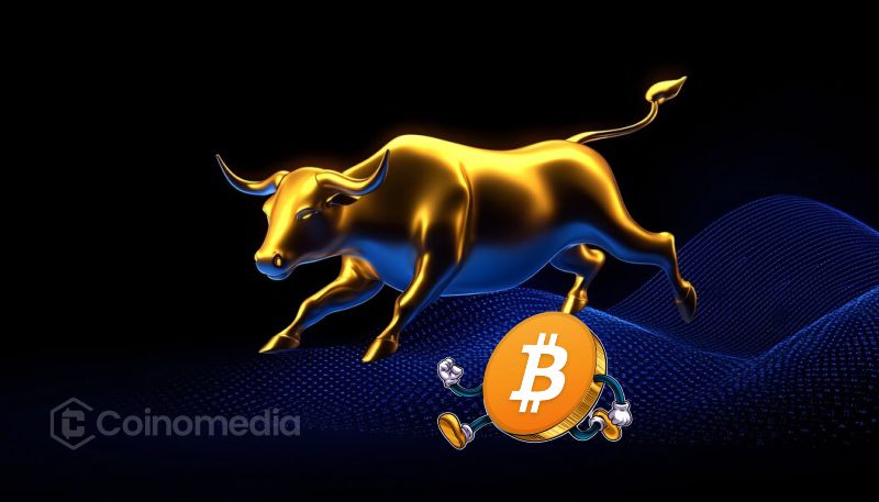 Bitcoin chart showing hidden bull pattern formation.