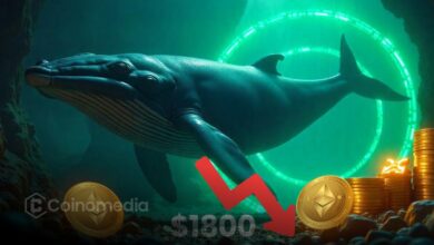 Ethereum Whale Faces Liquidation