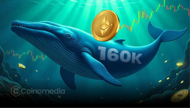 Ethereum Whale Sells 160K ETH