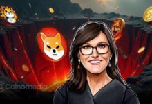 Cathie Wood warns memecoins may become worthless