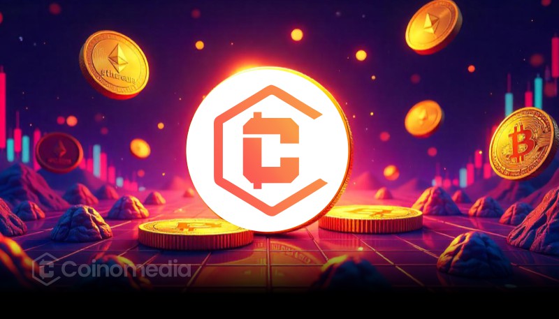 Top 10 Large-Cap Cryptocurrency Gainers