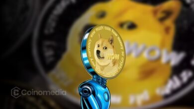 Dogecoin (DOGE) Near Key Support