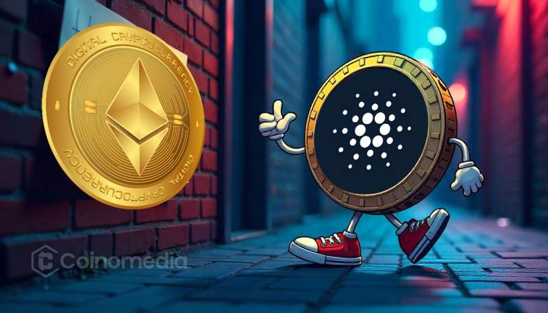 Cardano Overtakes Ethereum in Developer Activity