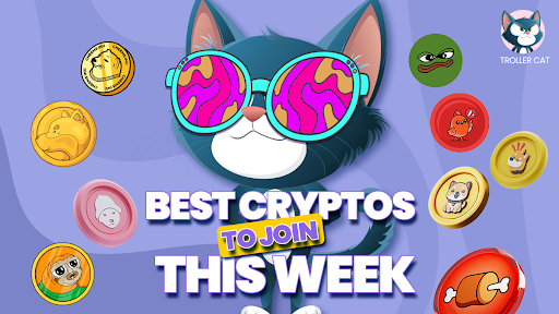 Troller Cat, Trollercat, trollercat.com, Dogecoin, Pepe Coin, Bonk, Dogwifhat, Floki Inu, Brett, meme coin whitelist, top meme coins,