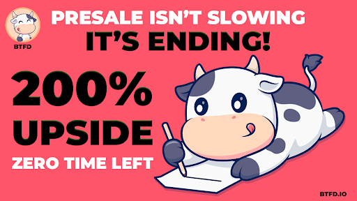 best crypto to buy now, meme coin presale, crypto presale ending soon, BTFD Coin presale, Neiro Ethereum price, FLOKI meme coin news, FINAL100 bonus code, crypto referral program, upcoming crypto launches May 2025, top meme coins to invest in