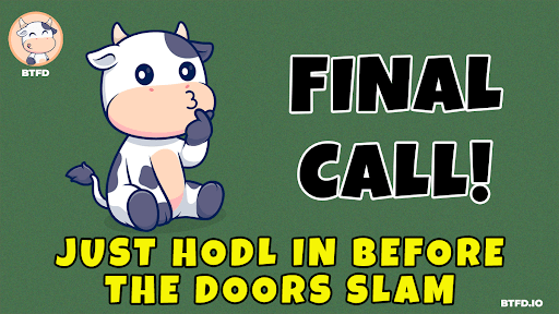 : next crypto to explode, best meme coins to buy now, BTFD Coin presale, FINAL100 bonus code, 2900% ROI, meme coin presale, how to buy BTFD, PENGU price rally, Melania meme coin crash, crypto presales ending May