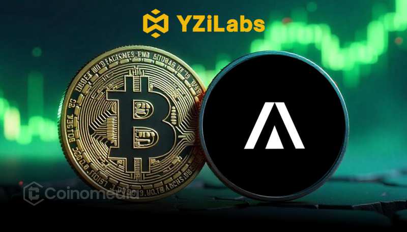 Bitcoin DeFi platform Avalon Labs investment
