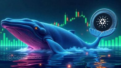 Cardano whale accumulation 410 million ADA in April
