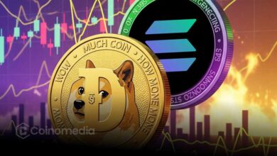 DOGE on Solana: A New Era for Meme Coin Utility