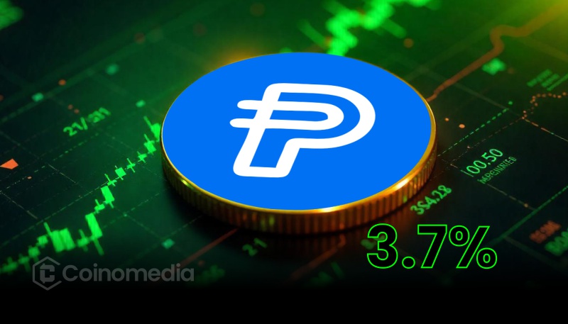 PayPal (2)