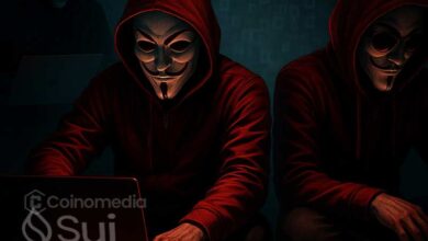 Sui validators freezing hacker funds on blockchain using mempool filtering mechanism.