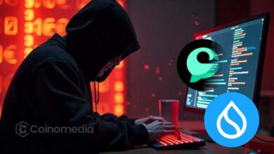 Cetus DEX on Sui Hacked, Liquidity Pools Drained