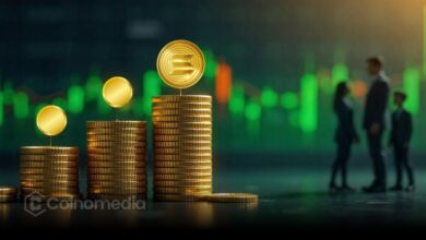 Solana Tops All Blockchains in Weekly Revenue