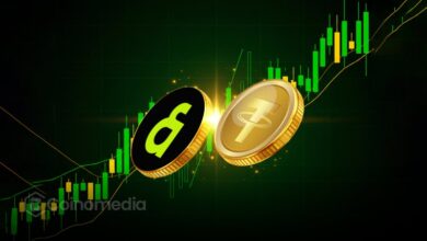 Tether announces USDT launch on Kaia blockchain with LINE NEXT integration