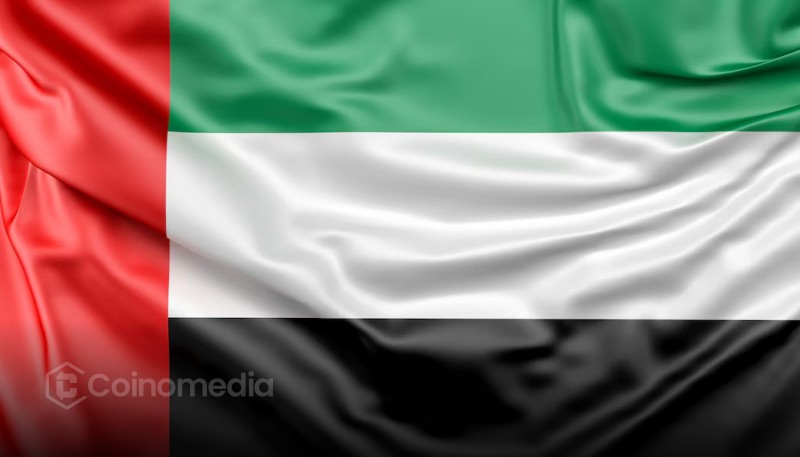 Ripple Secures Landmark License from Dubai