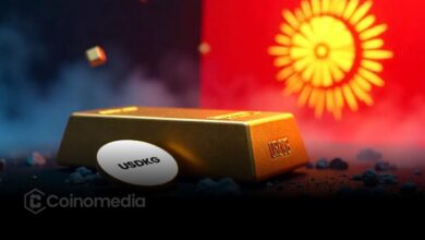 Kyrgyzstan's USDKG stablecoin aims to become legal tender