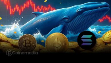 Whale-Bets