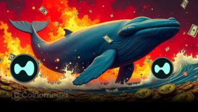 Whale-Loses