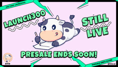 Best Cryptos For Beginners, meme coin presale, BTFD Coin 11,900% ROI, Notcoin trading volume, Mog Coin price, Bulls Squad, LAUNCH300 bonus, how to buy BTFD, P2E game staking, crypto presale ending May 26