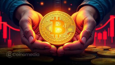 Chart showing Bitcoin correction risk and key support levels at $103.7k and $95.6k