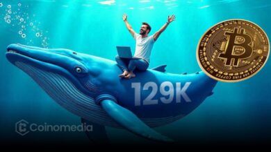 Bitcoin Bullish Signals: Volume Up, LTHs Strong, Outflows Rise
