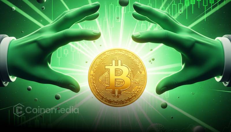 Can Trader 0xb8b9 Save His $2M Bitcoin Bet?