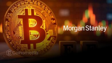 Morgan Stanley Sees 7 Fed Rate Cuts in 2026