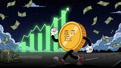 Chart showing Bitcoin rebound hinting at crypto positive shift this fall