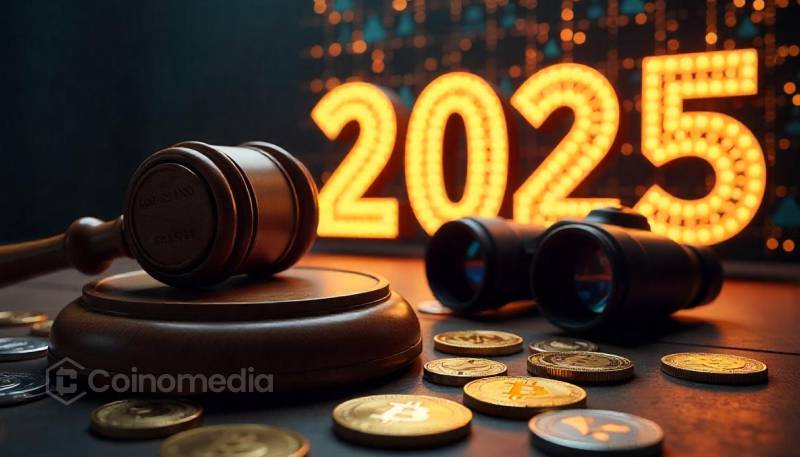 crypto regulation 2025 enforcement AI developer privacy