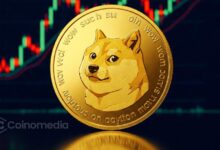 DOGE chart showing spot entry setup after retest of quarterly lows