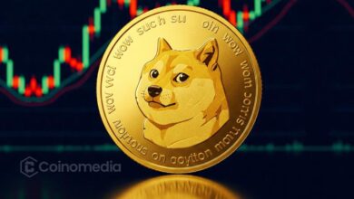 DOGE chart showing spot entry setup after retest of quarterly lows