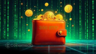 Dormant bitcoin wallet reactivates after 11.6 years with massive gains.