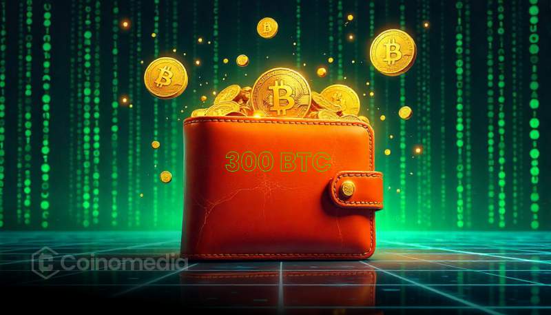 Dormant bitcoin wallet reactivates after 11.6 years with massive gains.