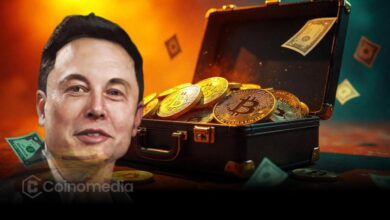Elon Musk Bitcoin Holdings by Tesla & SpaceX Bitcoin profit chart for Tesla and SpaceX Corporate Bitcoin adoption trend