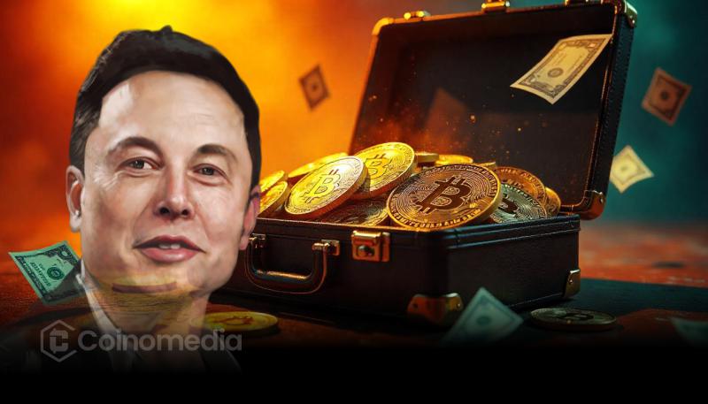 Elon Musk Bitcoin Holdings by Tesla & SpaceX Bitcoin profit chart for Tesla and SpaceX Corporate Bitcoin adoption trend