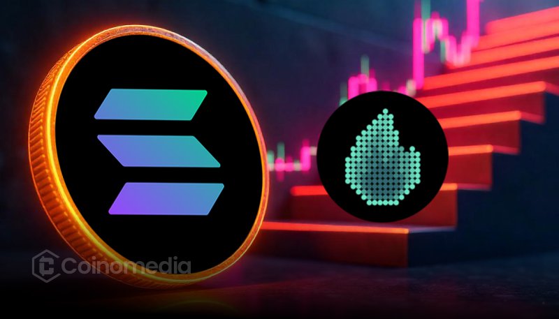 Firedancer Solana client validator staking growth