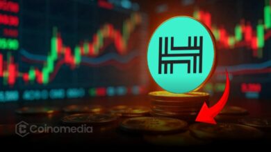 “HAI Crashes 97% Amid Bridge Exploit Alert”