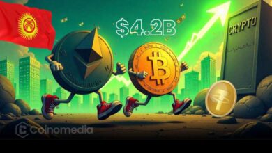 Kyrgyzstan crypto turnover record with licensed firms