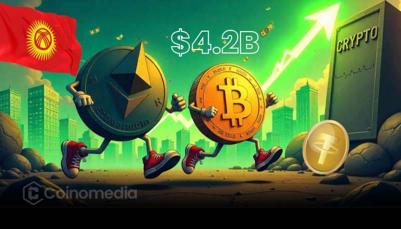 Kyrgyzstan crypto turnover record with licensed firms