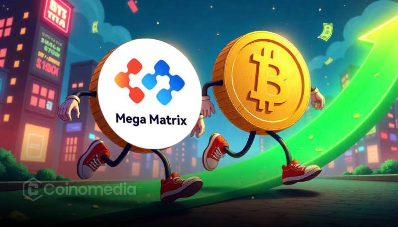 Mega Matrix Bitcoin purchase highlights tech firm’s first crypto investment