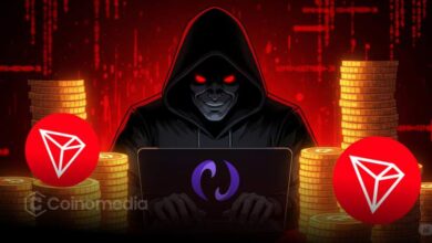 TRON wallet address used in Nobitex hack – Nobitex Hacked