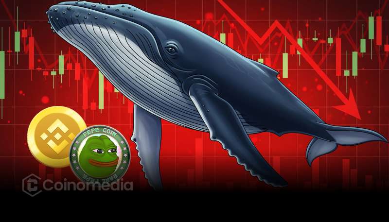 PEPE Whale Exits With $3.5M Loss After Binance Deposit