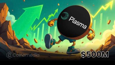 Plasma Foundation Hits $500M Cap in Public Sale